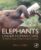 Elephants Under Human Care: The Behaviour, Ecology, and Welfare of Elephants in Captivity