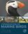 Conservation of Marine Birds