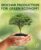 Biochar Production for Green Economy: Agricultural and Environmental Perspectives