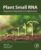 Plant Small RNA: Biogenesis, Regulation and Application