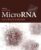 MicroRNA: From Bench to Bedside