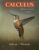 Calculus for the AP® Course Third Edition 9781319244316