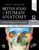 Netter Atlas of Human Anatomy: Classic Regional Approach with Latin Terminology: paperback + eBook (Netter Basic Science) 8th Edition 9780323760232