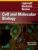 Lippincott Illustrated Reviews: Cell and Molecular Biology (Lippincott Illustrated Reviews Series)