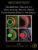 The Zebrafish: Cellular and Developmental Biology, Part B Developmental Biology (Volume 134) (Methods in Cell Biology, Volume 134)