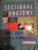 Sectional Anatomy for Imaging Professionals – Binder Ready 4th Edition 9780323675567
