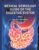 Medical Semiology Guide of the Digestive System Part I