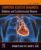 Diabetes and Cardiovascular Disease: Diabetes and Cardiovascular Disease (Computer-Assisted Diagnosis)