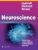 Lippincott Illustrated Reviews: Neuroscience (Lippincott Illustrated Reviews Series)