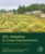 QTL Mapping in Crop Improvement: Present Progress and Future Perspectives