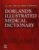 Dorland’s Illustrated Medical Dictionary (Dorland’s Medical Dictionary) 33rd Edition 9781455756438