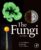 The Fungi