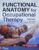 Functional Anatomy for Occupational Therapy 1st Edition 9780998785011